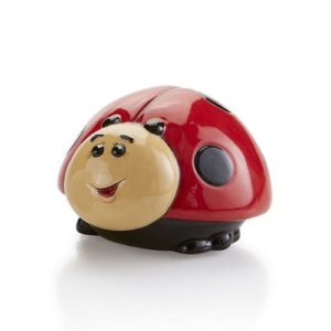 Ladybird